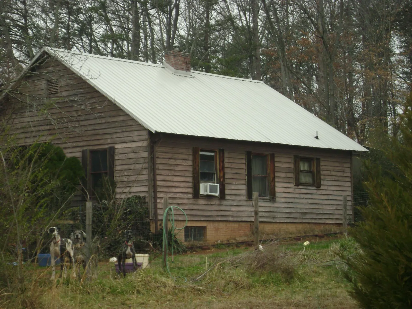 White metal roof on an old wood sided farmhouse, from a Asphalt Shingle Roof Repair job in Clarks Grove